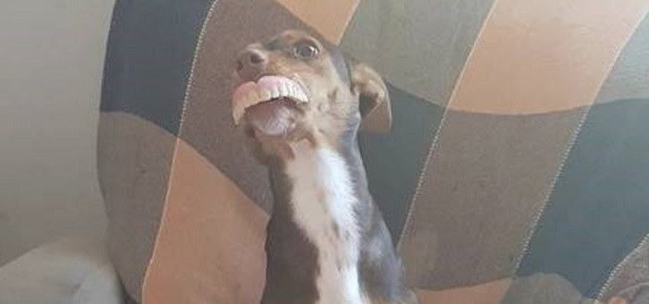 Facebook | Anna Carolina Lima