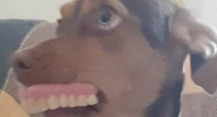 Facebook | Anna Carolina Lima