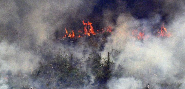 Devastadoras imágenes evidencian el daño causado por el incendio en el Amazonas