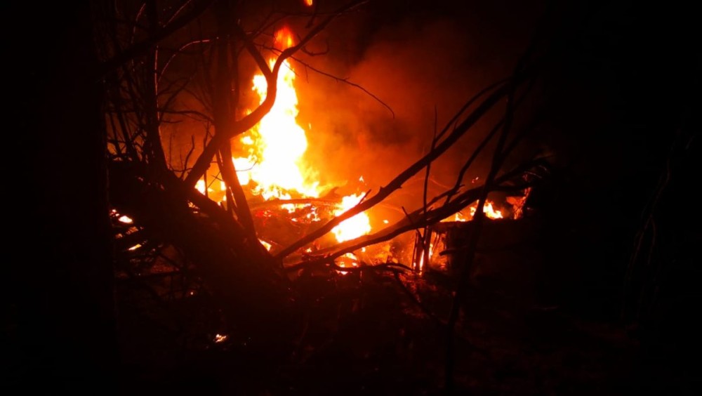 Avión se estrelló cerca del aeródromo de Los Ángeles: piloto murió durante el accidente