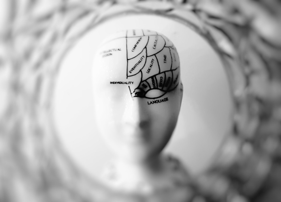 Curiosidades y mitos del cerebro: ¿es verdad que utilizamos un porcentaje menor?