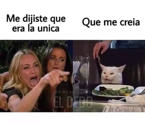 El origen del meme de la mujer que regaña al gato