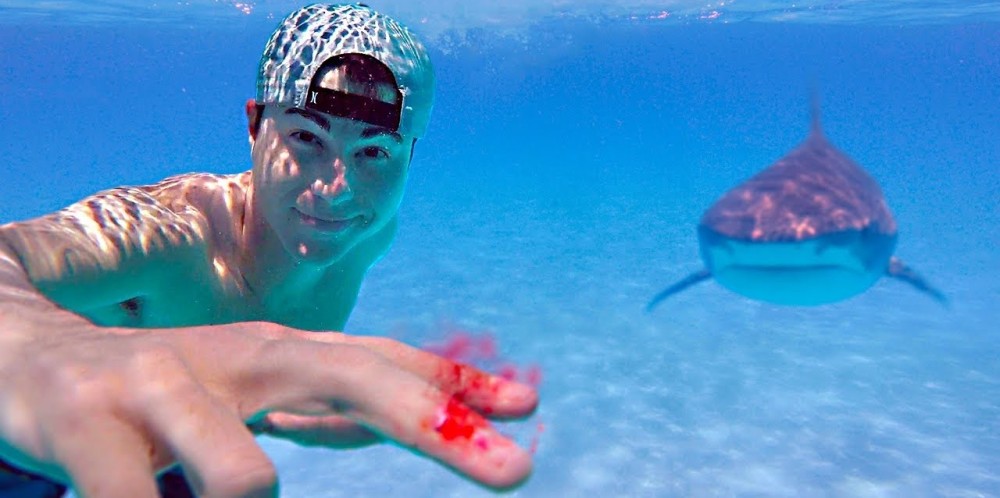 ¿Pueden los tiburones oler la sangre humana? Youtuber puso a prueba la teoría y video es viral