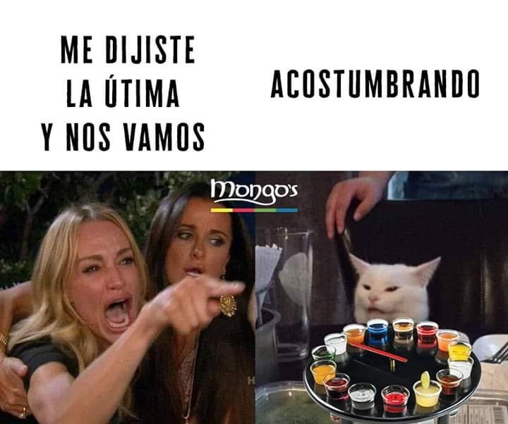 El origen del meme de la mujer que regaña al gato