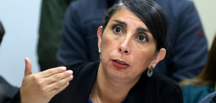 Karla Rubilar aseguró que humo provocado por incendios en San Bernardo tienen peligro de toxicidad