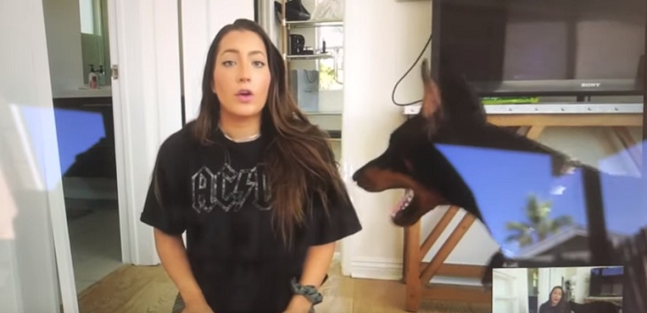 Conocida youtuber quería hacer video viral y publicó por error maltrato a su perro: pidió disculpas