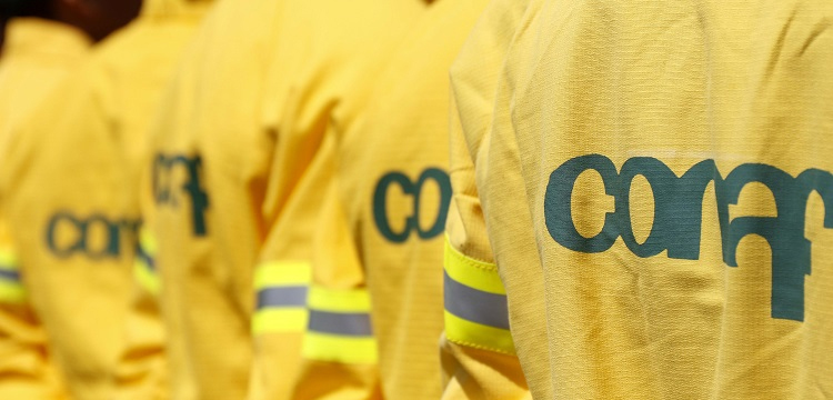 Director Regional de Conaf fue destituido: habría negado búsqueda de tesoro en Juan Fernández