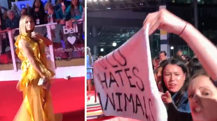 Animalistas funaron a Jennifer Lopez 