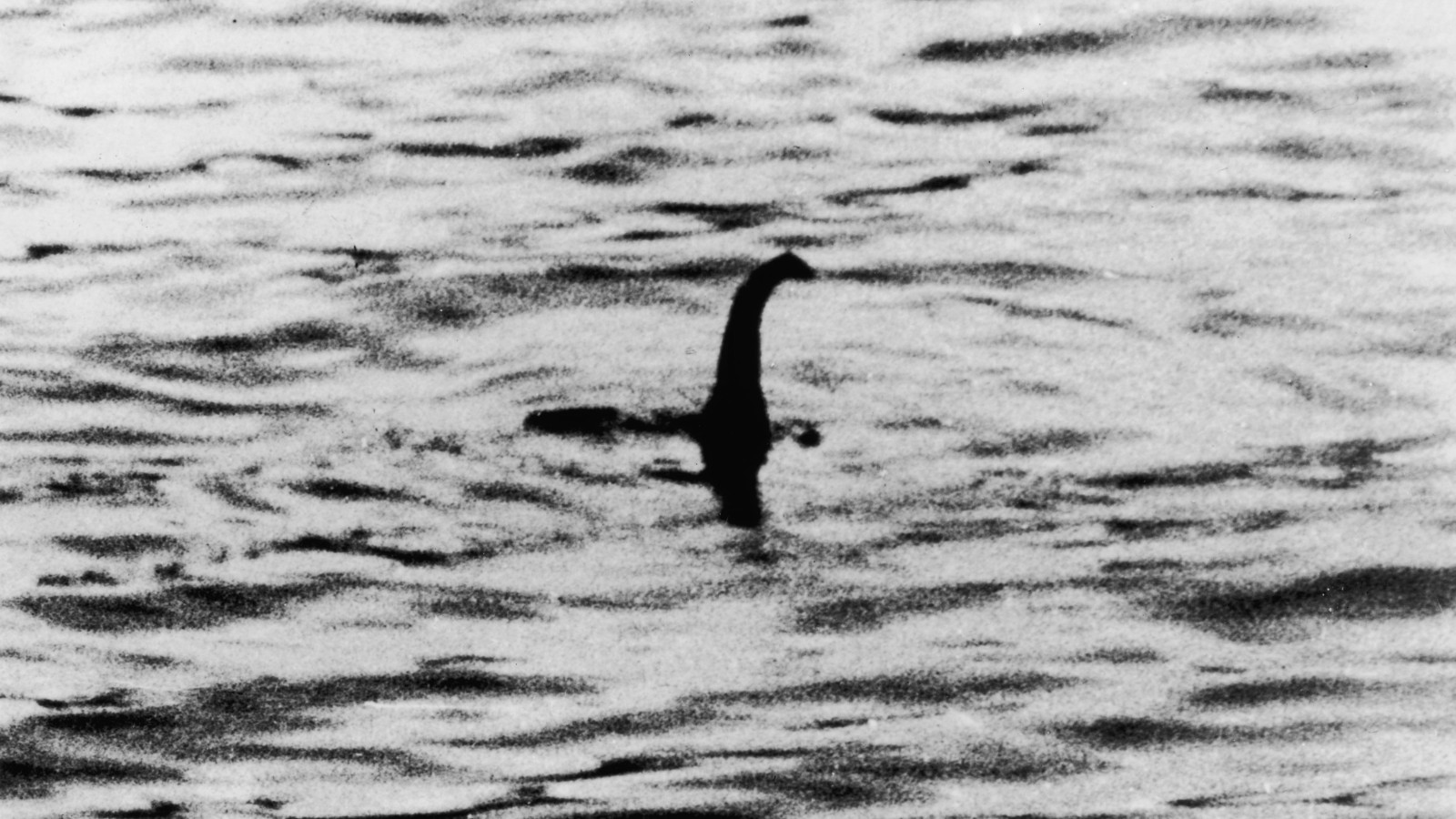 ¿Es el monstruo del Lago Ness una anguila gigante? La teoría que plantea reconocido científico