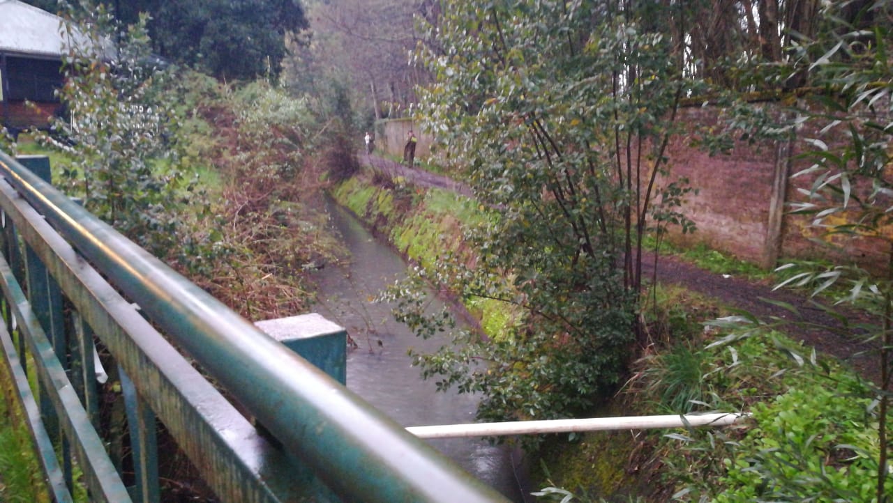 Marco Cifuentes | RBB 