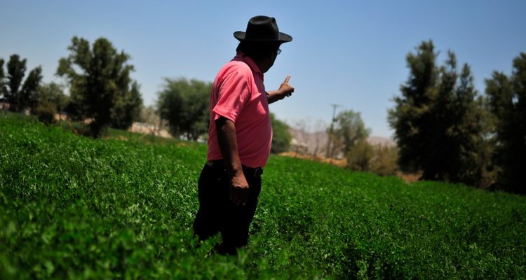 Gobierno propone reutilizar aguas servidas para el riego de 1,2 millones de hectáreas agrícolas