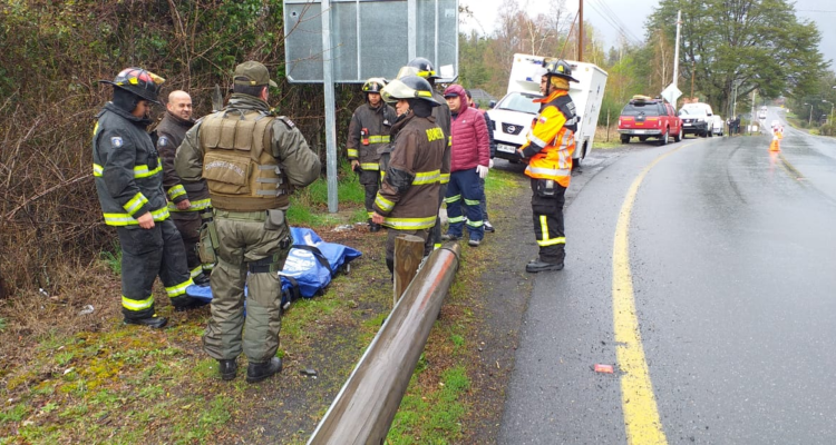 Hallan a un hombre muerto en ruta de Panguipulli: investigan posible atropello de conductor ebrio