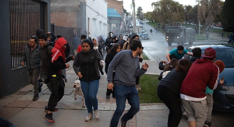 Colegio Veterinario entregó instructivo de cómo actuar si tu mascota se expone a gases lacrimógenos