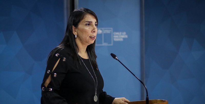 ¿Santiaguinos o chilenos? la frase de Karla Rubilar en su primera vocería que fue criticada en redes