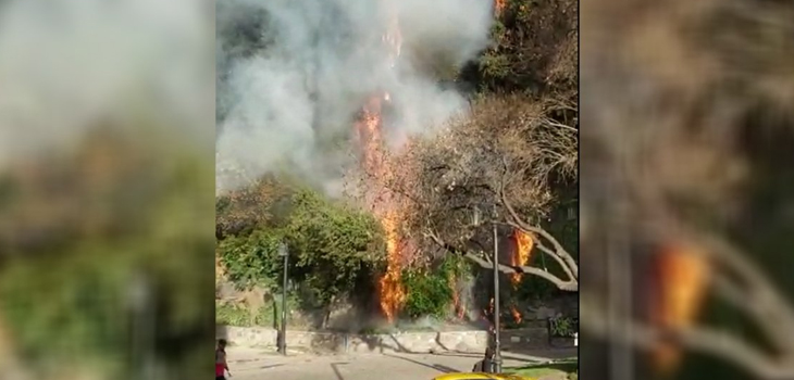 Los registros del incendio que afectó al cerro Santa Lucía