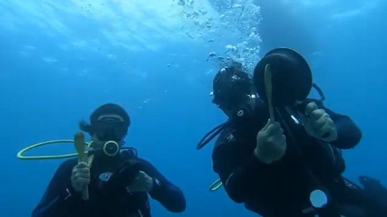 Buzos organizaron cacerolazo bajo el mar en Isla de Pascua: registro se hizo viral