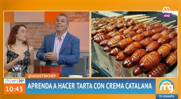 Begoña Basauri bicho