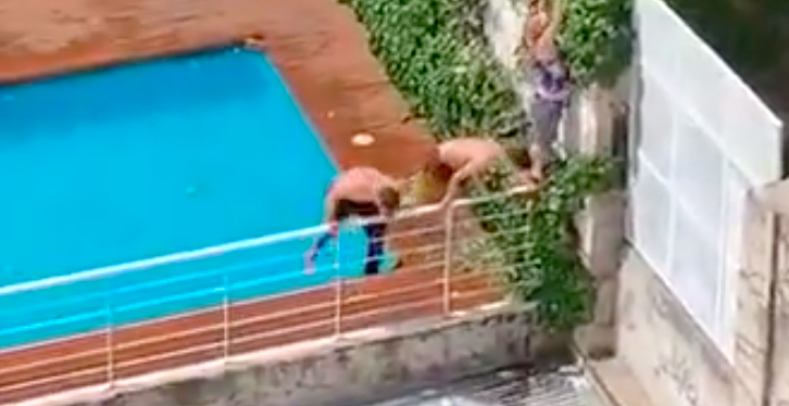 No se aguantaron y se metieron a una casa para usar la piscina: el divertido video ya es viral