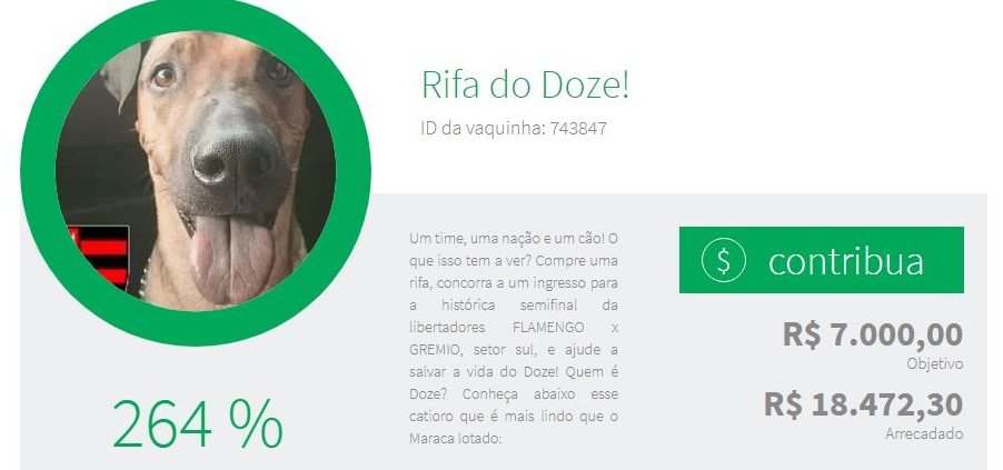 Joven decidió vender entrada a histórico partido para ayudar a su perro con cáncer