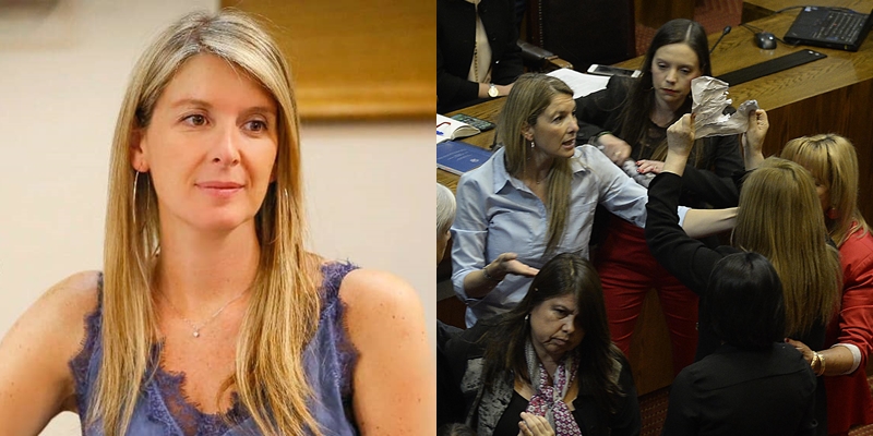 Marcela Sabat y su mea culpa tras polémica discusión en el Congreso: 