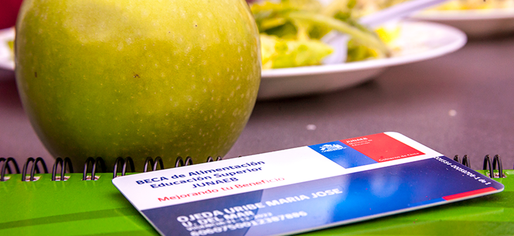 ¿Cuándo entregan la beca de alimentación? Junaeb anuncia fechas de recarga del beneficio