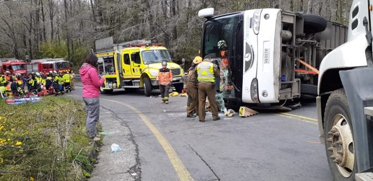 Mineduc investiga volcamiento de bus que dejó 3 muertos: conductor tendría permiso adulterado