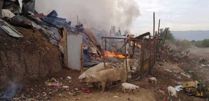 Incendio consume al menos siete viviendas en toma de Cerro Navia: hay varios caballos muertos