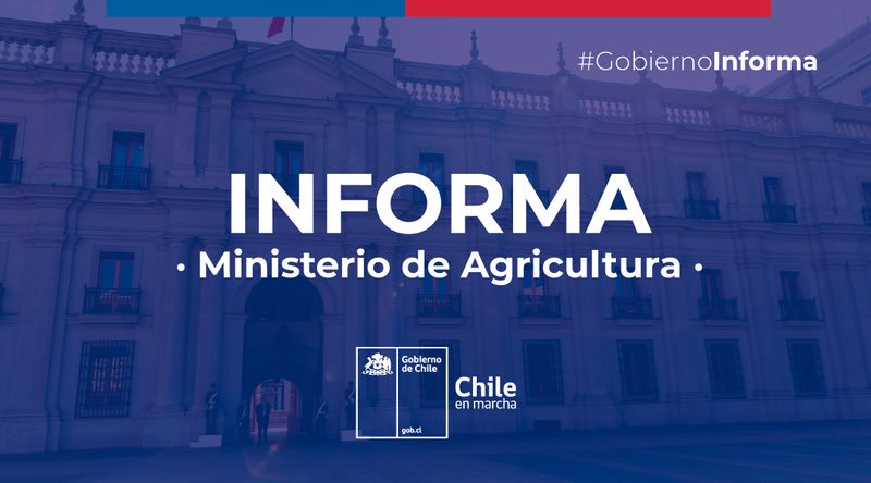 chile en marcha eslogan 