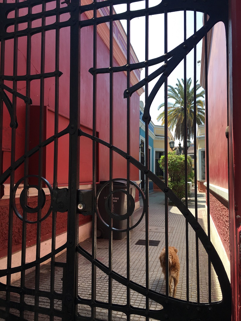 cité real de verdades ocultas