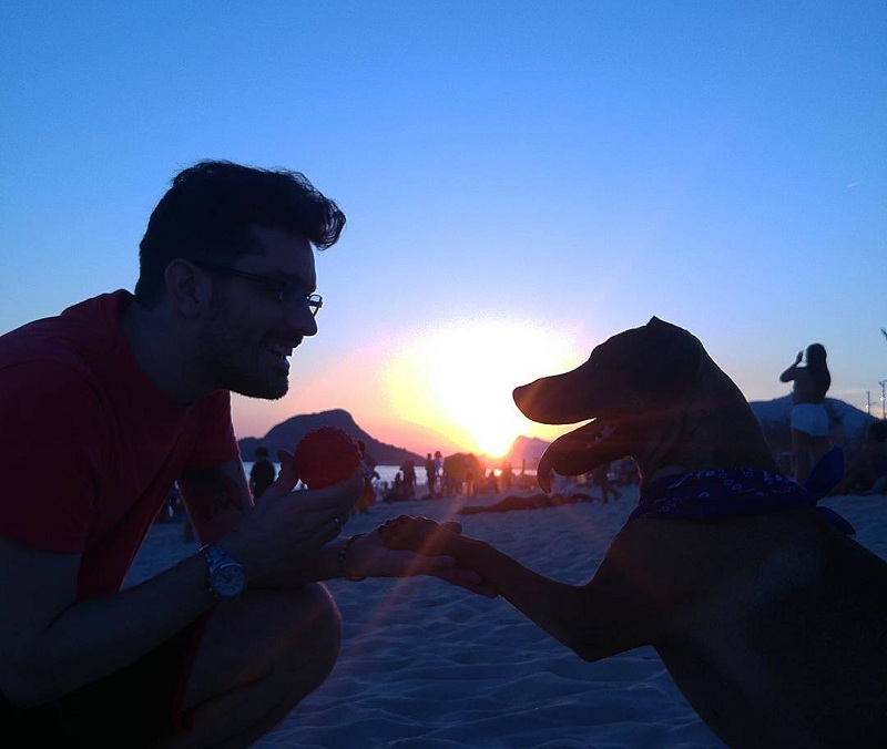 Joven rifará entrada para semifinal de Copa Libertadores y así poder salvar a su perro con cáncer