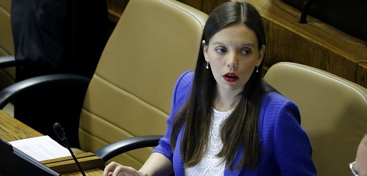 Diputada Camila Flores calificó como un 