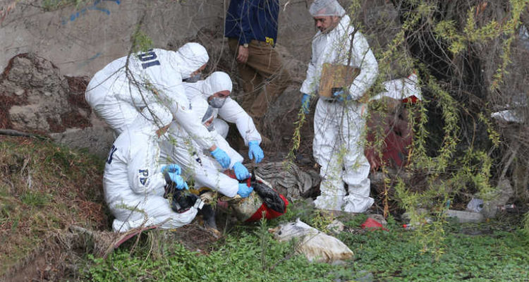 Macabra escena: transeúntes encontraron brazo y restos humanos bajo puente de La Serena