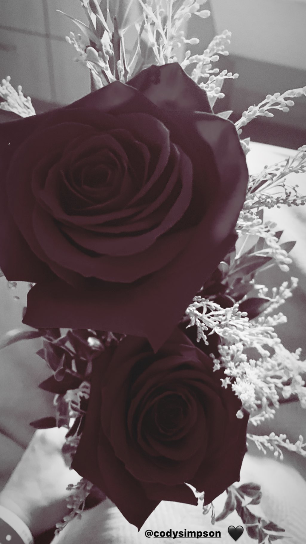  Miley Cyrus fue hospitalizada y Cody Simpson la cuidó