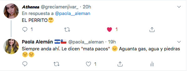 perro amatapacos concepcion