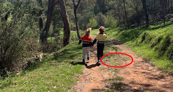 niños serpiente australia