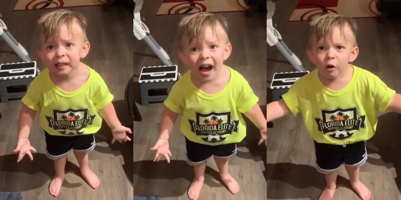 Niño de 2 años se enojó con su madre por no despedirse de él antes de ir a trabajar: video es viral