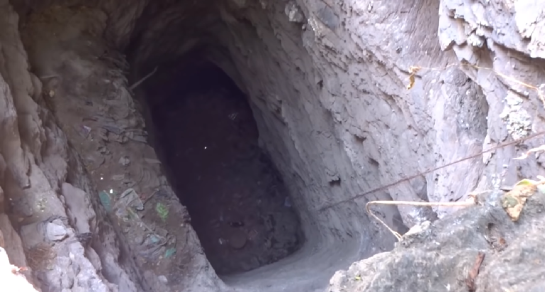 Rescatista salva a dos cachorros tras caer a pozo de más de 60 pies de altura: salieron ilesos