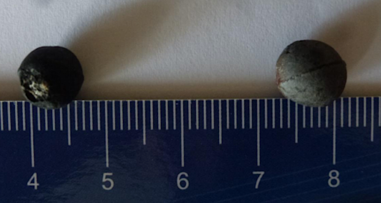 Carabineros asegura comprar perdigones 