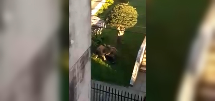 Corte de Concepción dicta prisión preventiva para militar imputado por apremios ilegítimos