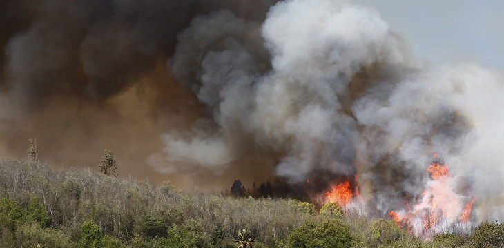 Carabineros confirma dos detenidos por incendios en Valparaíso: 