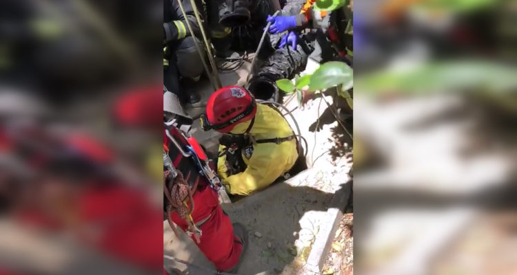 Trabajador de 67 años murió tras caer a pozo de alcantarillado en Vitacura
