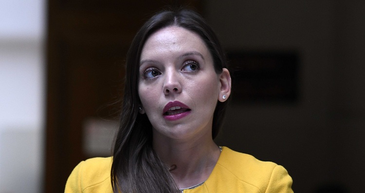 Primer chofer de Camila Flores corroboró acusaciones de exsuboficial: 