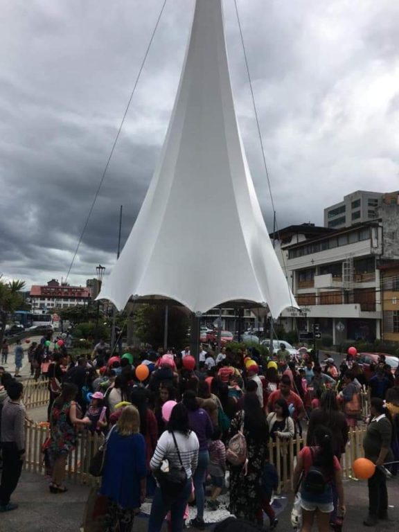 arbol navideño puerto montt