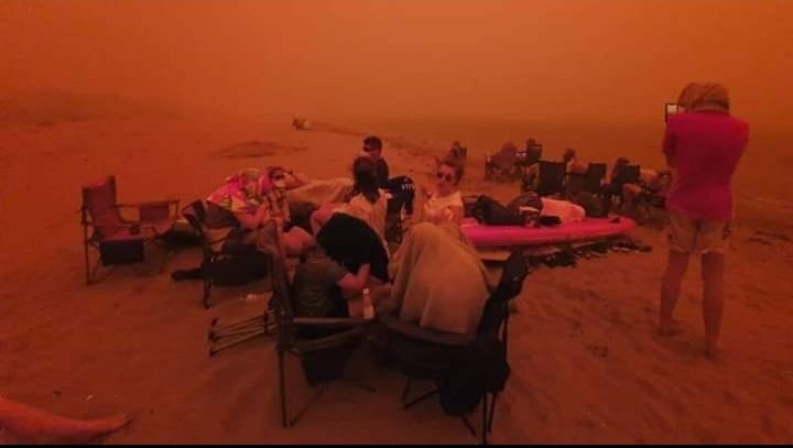 David Monroy | Twitter