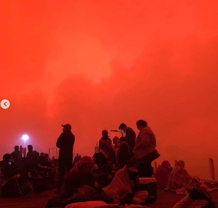 David Monroy | Twitter