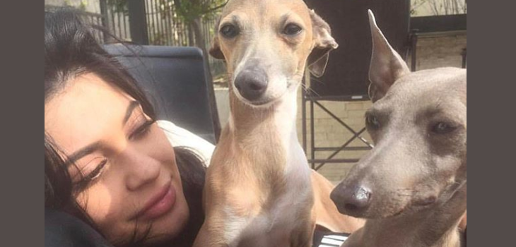 Las mascotas de Kylie Jenner tienen una extravagante mansión que cuenta con su aire acondicionado