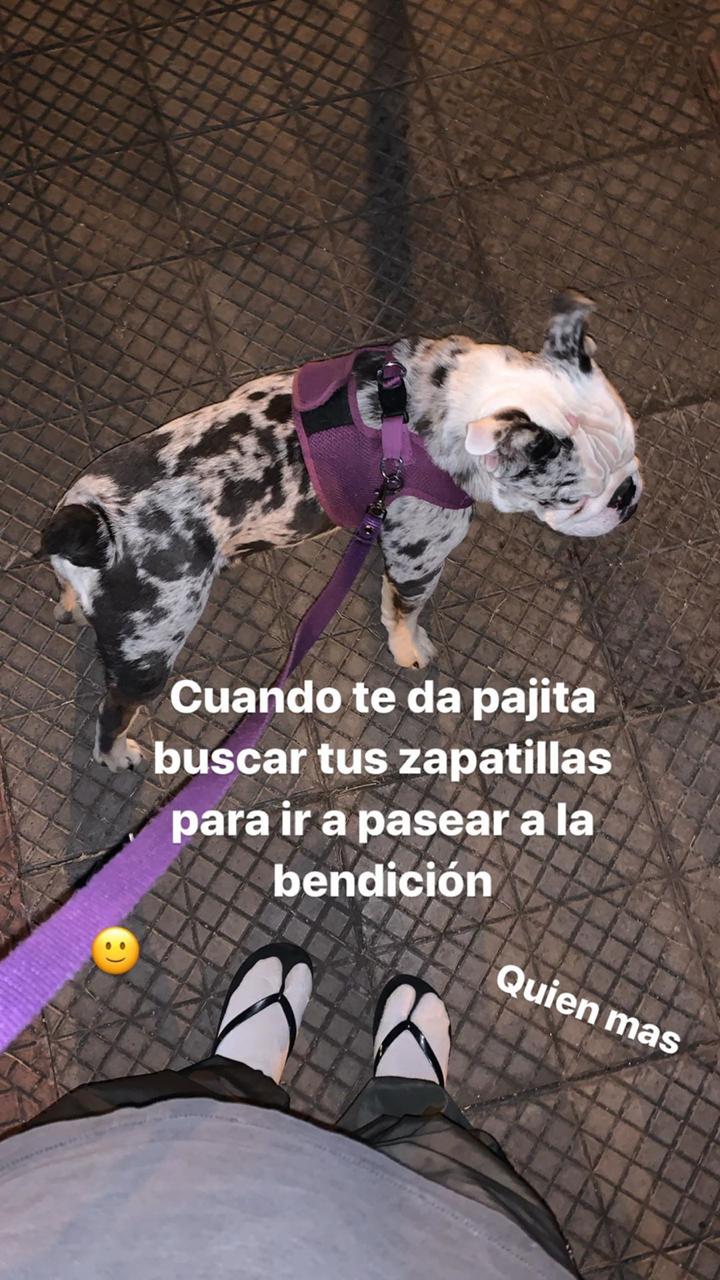 Paloma Mami | Instagram