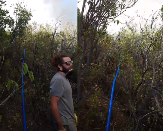 Pangal Andrade | Instagram