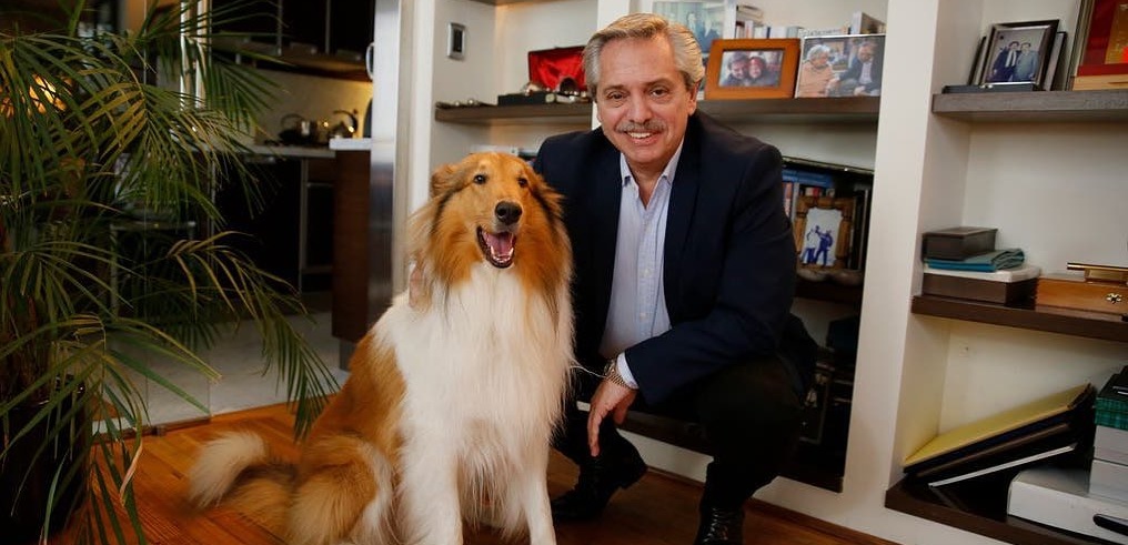 Dylan, el perro del nuevo presidente de Argentina que es furor en Instagram: tiene su propia cuenta
