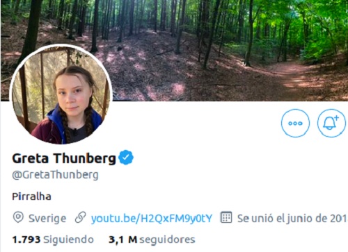 greta thunberg cambio descripcion